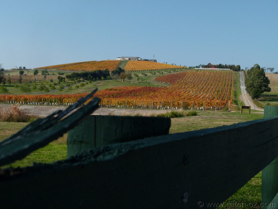  Yarra Valley Autumn Shorts  YarraValleyColour_026