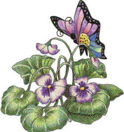 Gifuri si emoticoane  - Pagina 18 Butterfly-Glitters-34
