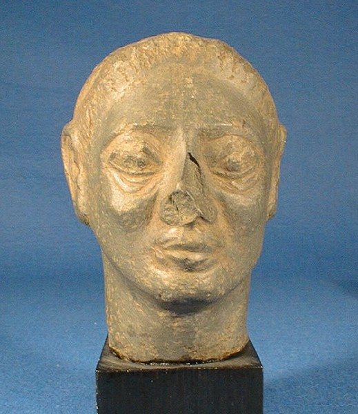 Head of a man with emaciated features  Bre.2672(1)