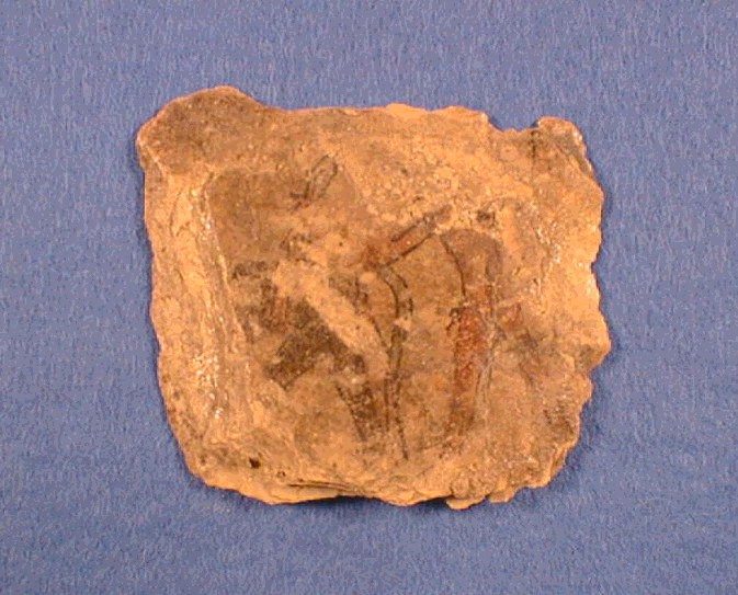 ostraca del niño y el mono Bre.6437