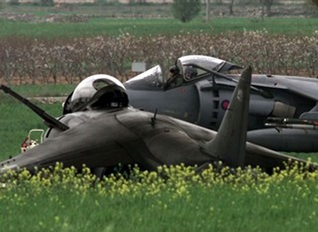 الهارير البريطانية متعددة المهام(harrier) Harrier_21102003