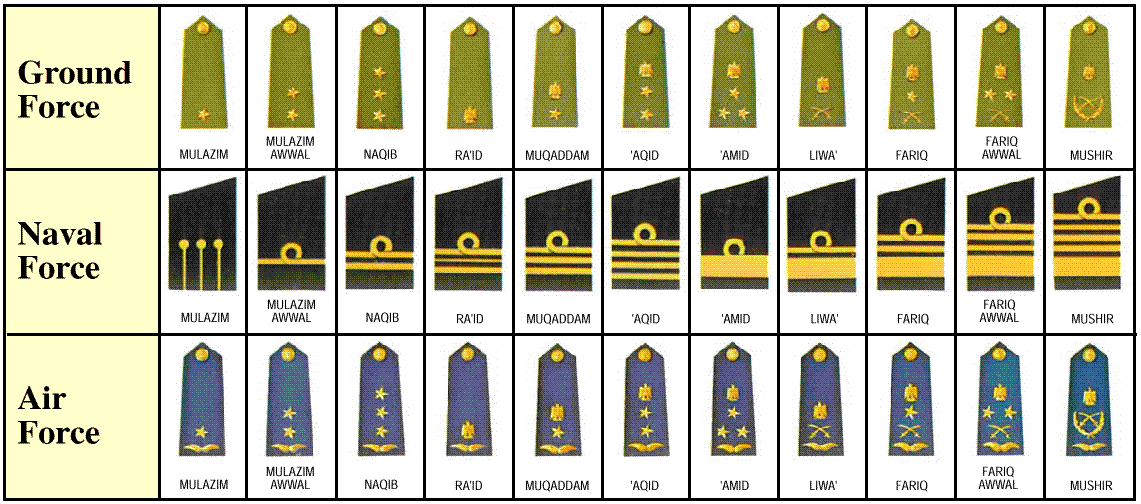 insignes des forces armées irakiennes Insignia