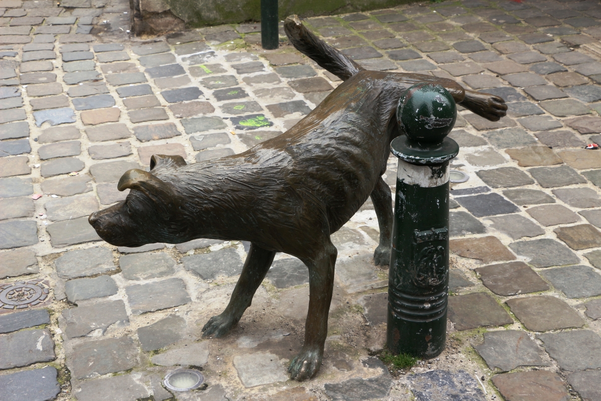 Les sculptures les plus insolite  Bruxelles-insolite-zimmeke