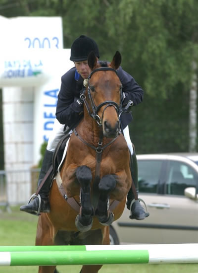 Trakehners Hannibalbottommiddlelarge