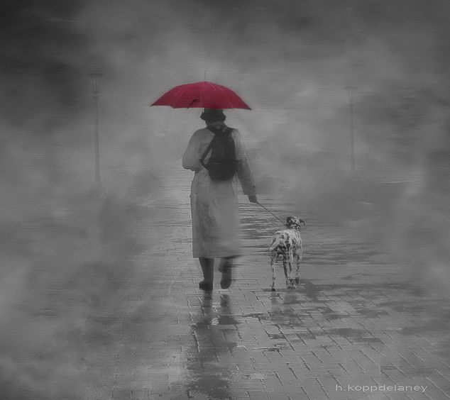 Bajo la lluvia - Página 32 Walking_w_umbrella_dog_cc-flickr-h_koppdelaney