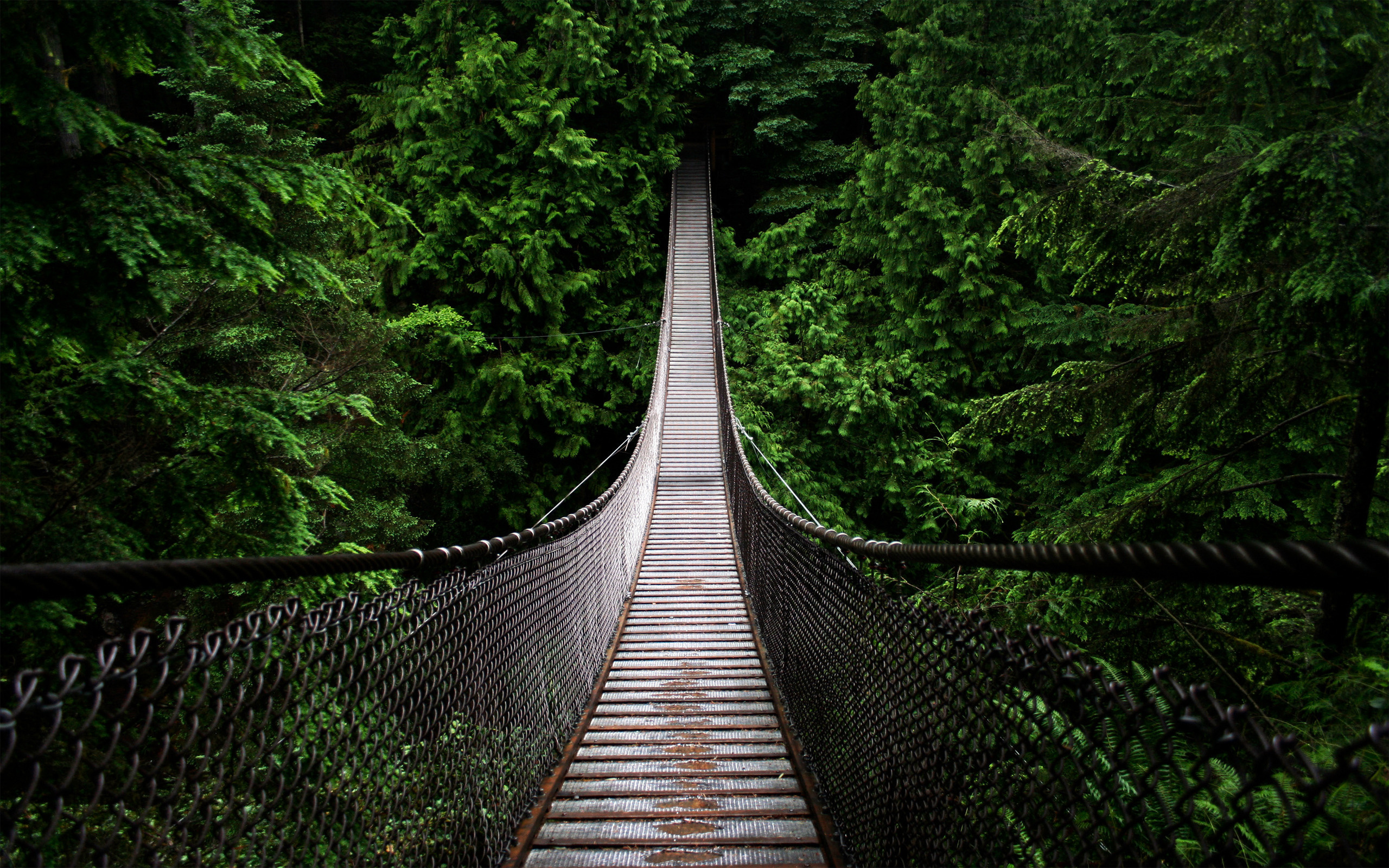 The Wooden Bridge Goodwp.com_16977