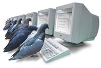 google  ^__^ Pigeons_sm