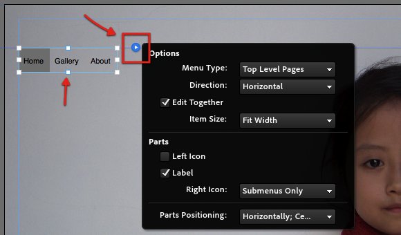 آموزش ساخت سایت شخصی بدون کدنویسی با نرم افزار Adobe Muse 03d_widget_options