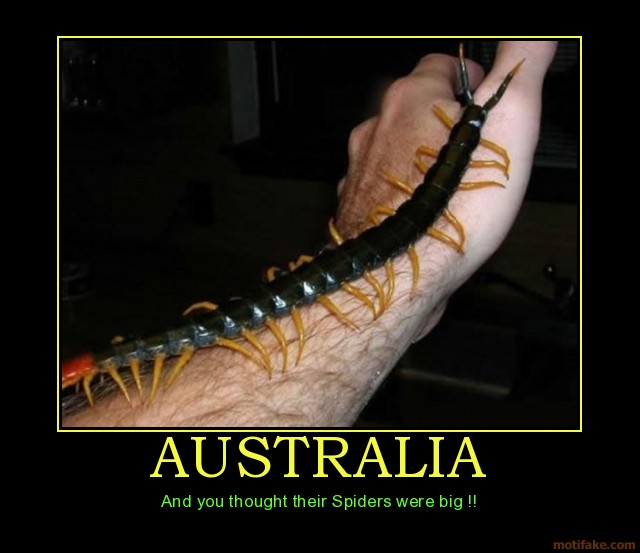 Old Faithful Snakebite0-australia-australia-spiders-big-critters-centipede-demotivational-poster-12-3_1024