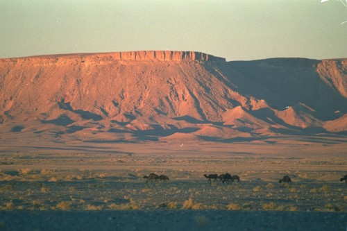 أدخل و سترى صور مدينتك كلميمة Coucher%20du%20soleil%20sur%20l%27Atlas