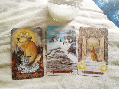 Le tarot des chats mystiques de Tarot-des-chats-mystiques-9-400x300