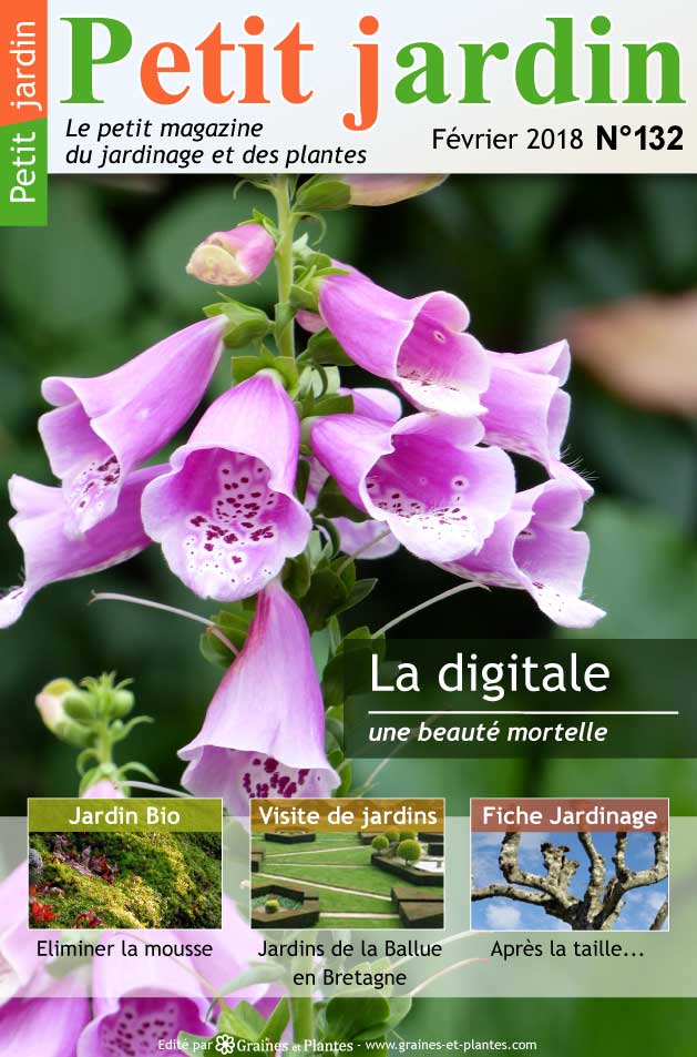 Jardinage du mois - Février 2018 Magazine-jardinage-petit-jardin-fevrier-2018