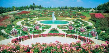 Caen, capitale de la Basse-Normandie. Jardin-parc-floral-de-la-colline-aux-oiseaux-79_1