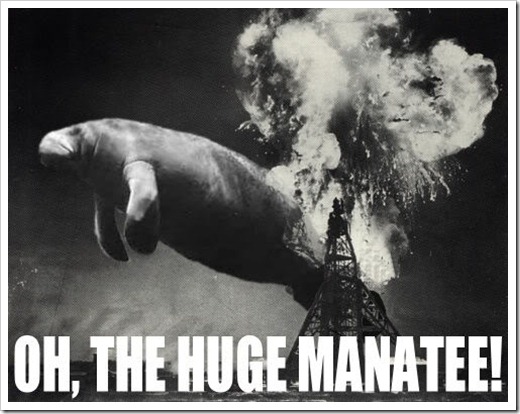 The Hindenburg Hugemanatee