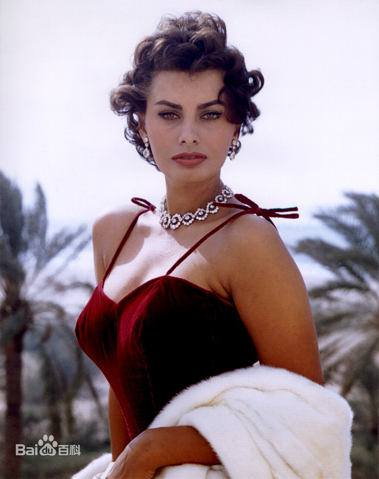 Rate Their Looks (1-10) - Page 3 SophiaLoren