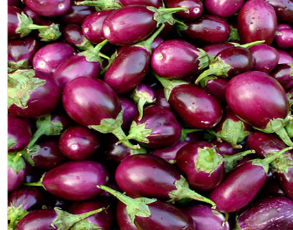 فتة المكدوس ع طريقة كيوتي :اكلة شامية Eggplant