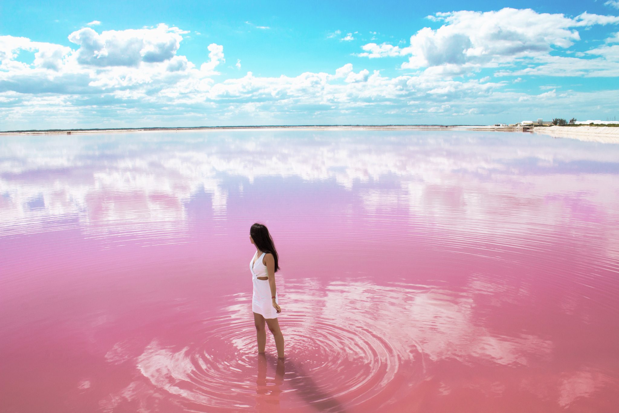  pequeñas curiosidades  - Página 16 Las-Coloradas-Pink-Lake