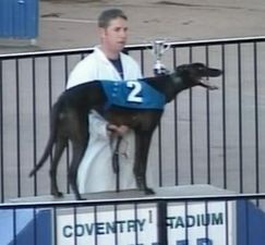 GRANDES CAMPEONATOS: OCTUBRE Greyhound_Blonde_Pearl