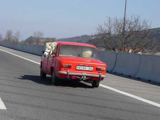 ahi van unas fotos chorras! Coche_rojo_y_caballo