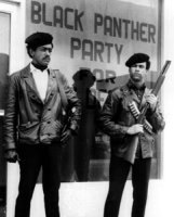 La destruction des black panthers (2ème partie) 460