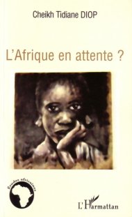 Cheikh - Interview : Cheikh Tidiane Diop : l'Afrique en attente 8721