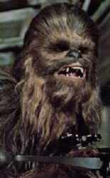 avatar 3 Chewbacca