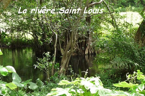 le site de Martin du 1er décembre trouvé par Paul Riviere-St-Louis-MG-L