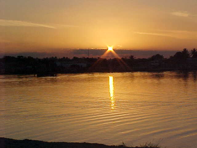 Postimagenes... FLORES_PETEN_LAGO_PETEN_ITZA_04