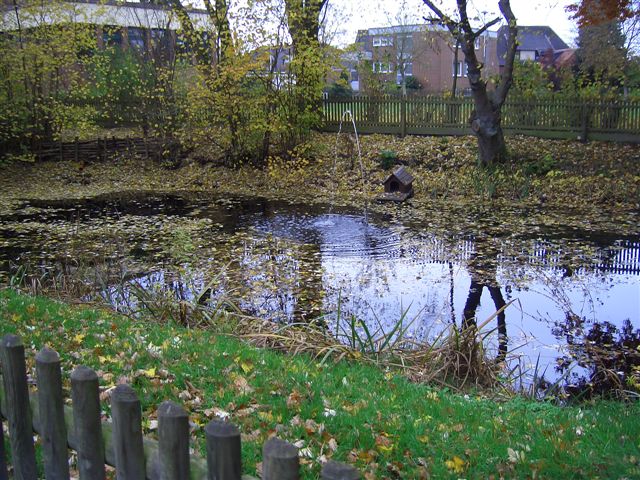 kleiner Teich Schulteich