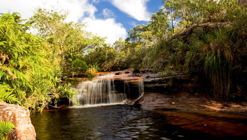 moment de détente... Guia-Chapada-Diamantina-Aguas-Claras-Palmeiras