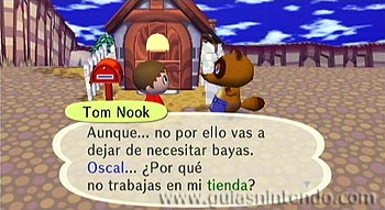 Trabajar para Tom Nook 013