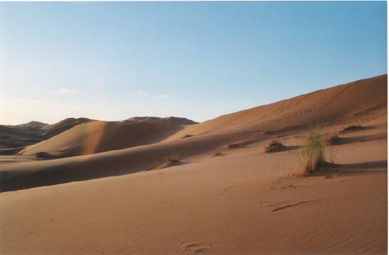 LIEN DU SAHARA Deserts-dunes-erfoud-maroc-