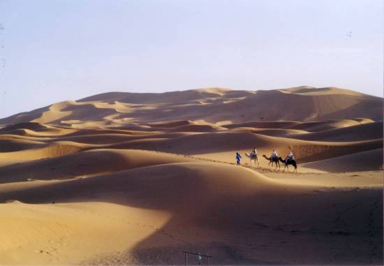 LIEN DU SAHARA Deserts-enfin-merzouga-erfoud-maroc-