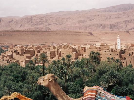 احسن مدينة فالمغرب Montagne-quel-vallee-zagora-maroc-