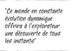 Les ED Dynamic-quote-04