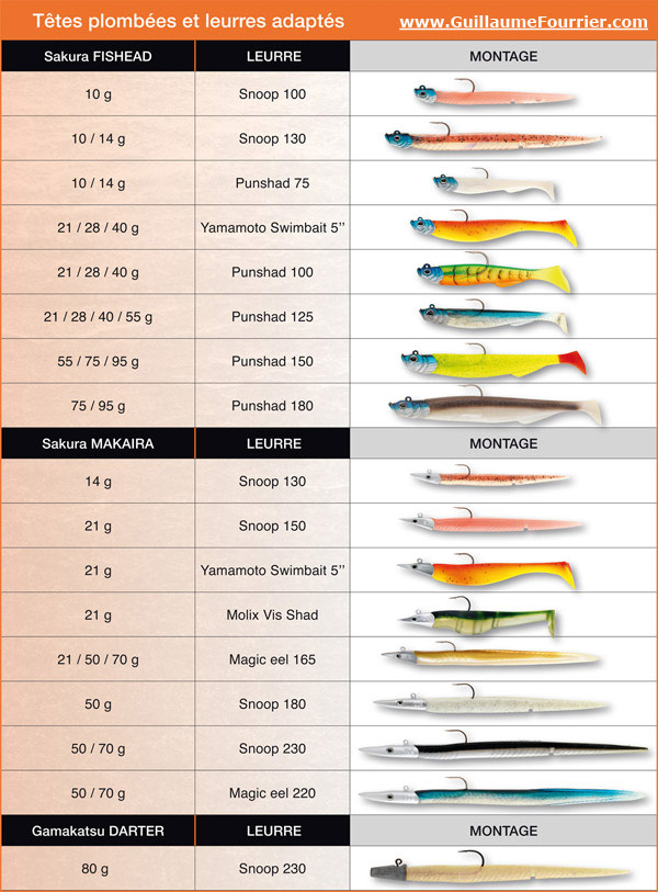 exemples des montages pour la pêches aux carnassiers (cuillères,leurres, et poisson nageur)    Association-leurres-souples-sk