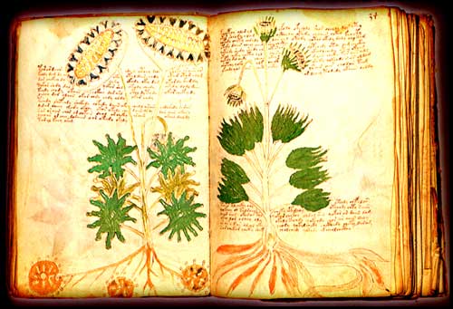 Enigmas y misterios sin resolver El_manuscrito_voynich_1big