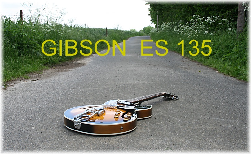 DAS BILDER-ZAHLENSPIEL - Seite 6 Gibson%20ES%20135%20Bild%201