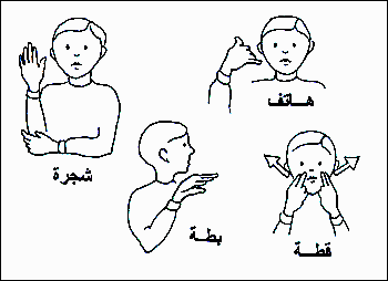 تعلم لغة الاشارة بالصور DSL