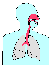 الربو / Bronchial Asthma   Tamh