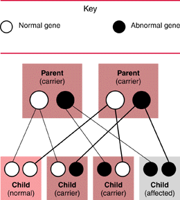 المتلازمات Syndromes -موضوع شامل  Albinism%20%283%29