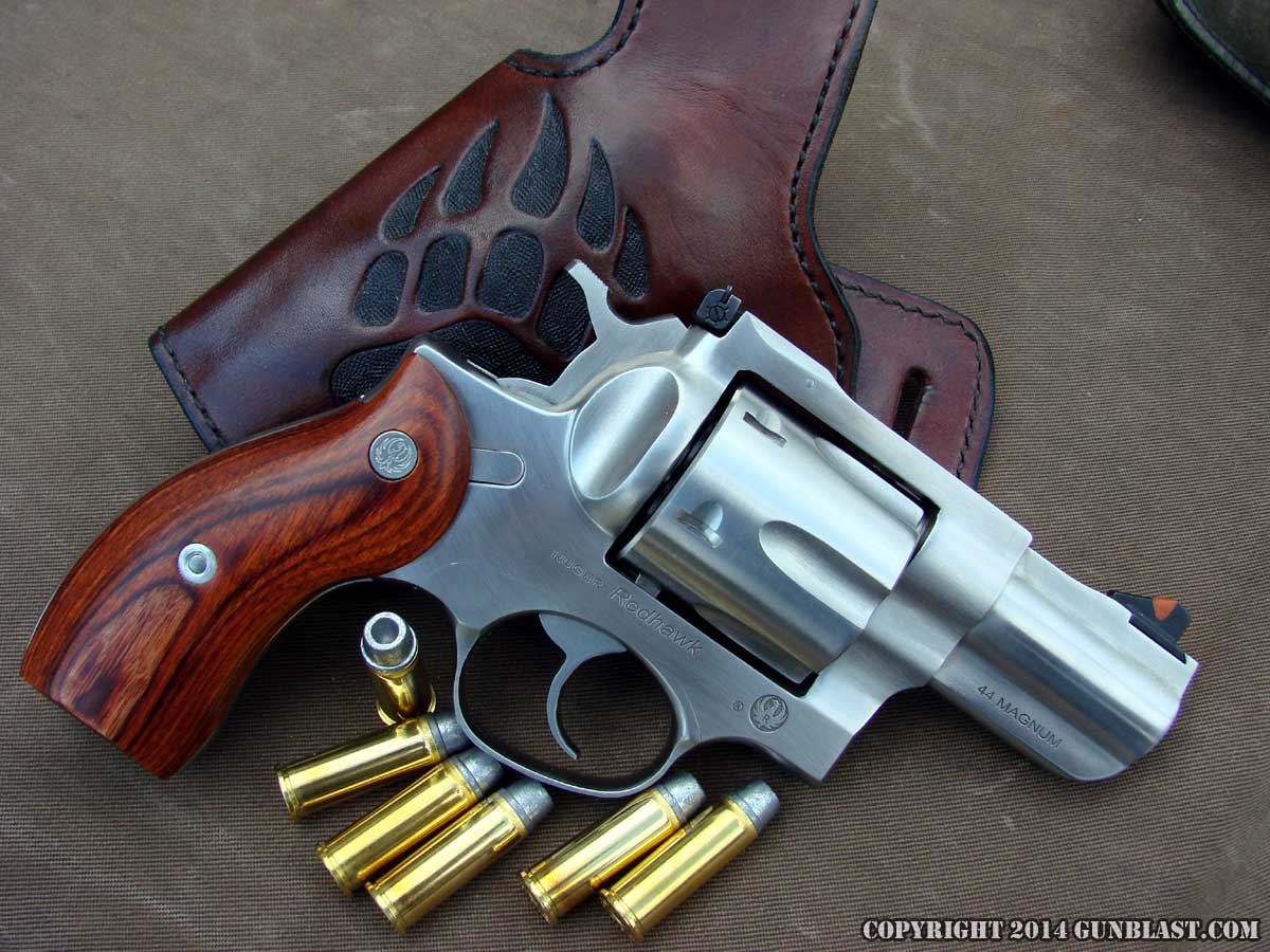 Ruger American Pistol DSC01937