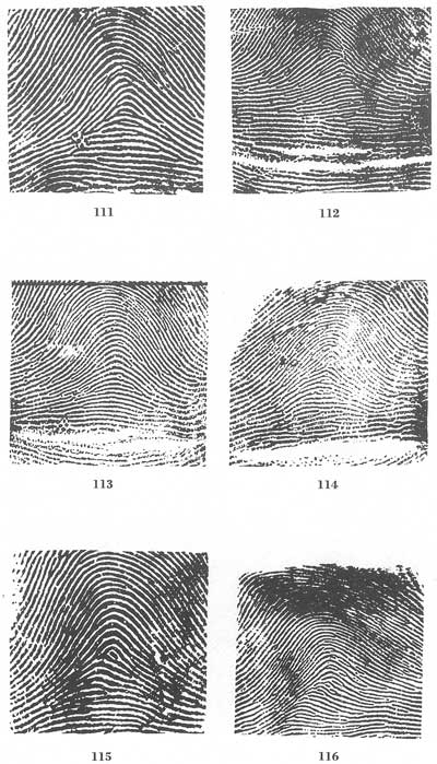 Is this a comb pattern or no pattern in mercury mount  - Page 3 Fig111-116