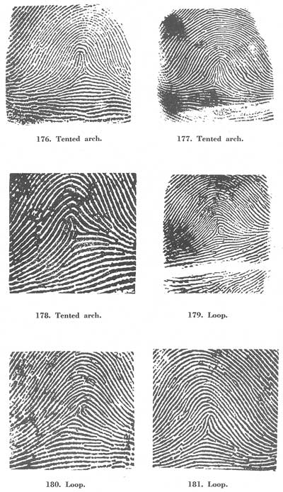 deleted deleted Fig176-181