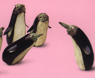 فن فن                Vegetable_aubergine