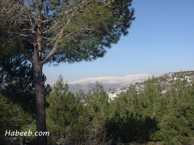 لبنان ساحره القلوب ♥ Lebanon.lebanon.mountain.038