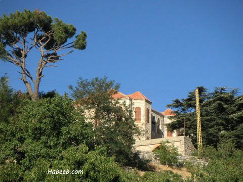 صور رائعة من لبنان Ain.zhalta.large.house