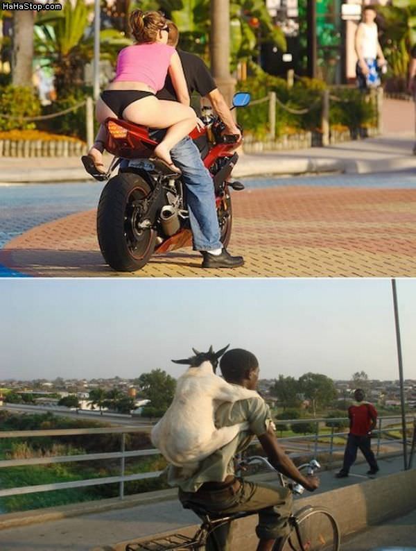 Funny Pics Catching_A_Ride