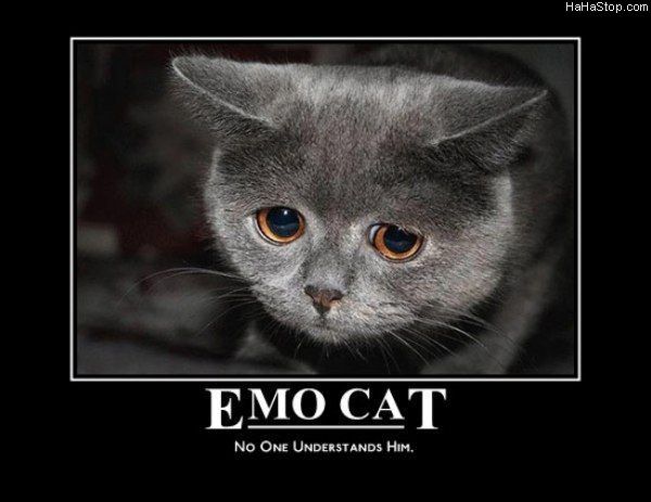 MAGPOST NG MAGPOST..... - Page 13 Emo_Cat