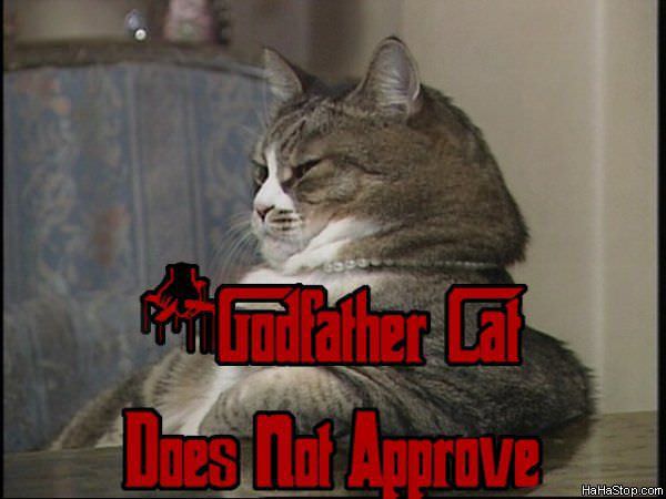 MAGPOST NG MAGPOST..... - Page 3 Godfather_Cat